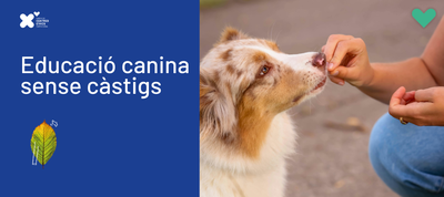 EDUCACIÓ CANINA SENSE CÀSTIGS