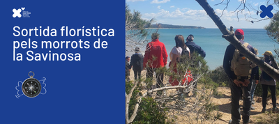 SORTIDA FLORÍSTICA PELS MORROTS DE LA SAVINOSA