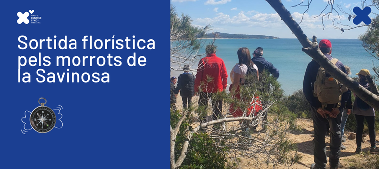 Sortida florística pels Morrots de la Savinosa
