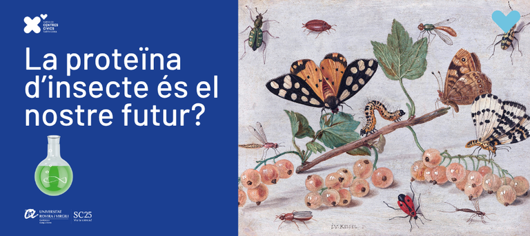 La proteïna d’insecte és el nostre futur?