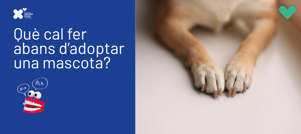 Xerrada 'Què cal fer abans d'adoptar una mascota?'