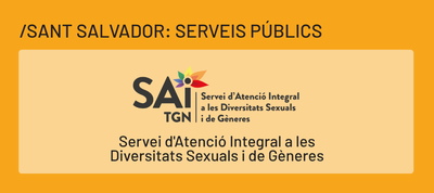 Servei d'Atenció Integral a les Diversitats Sexuals i de Gèneres