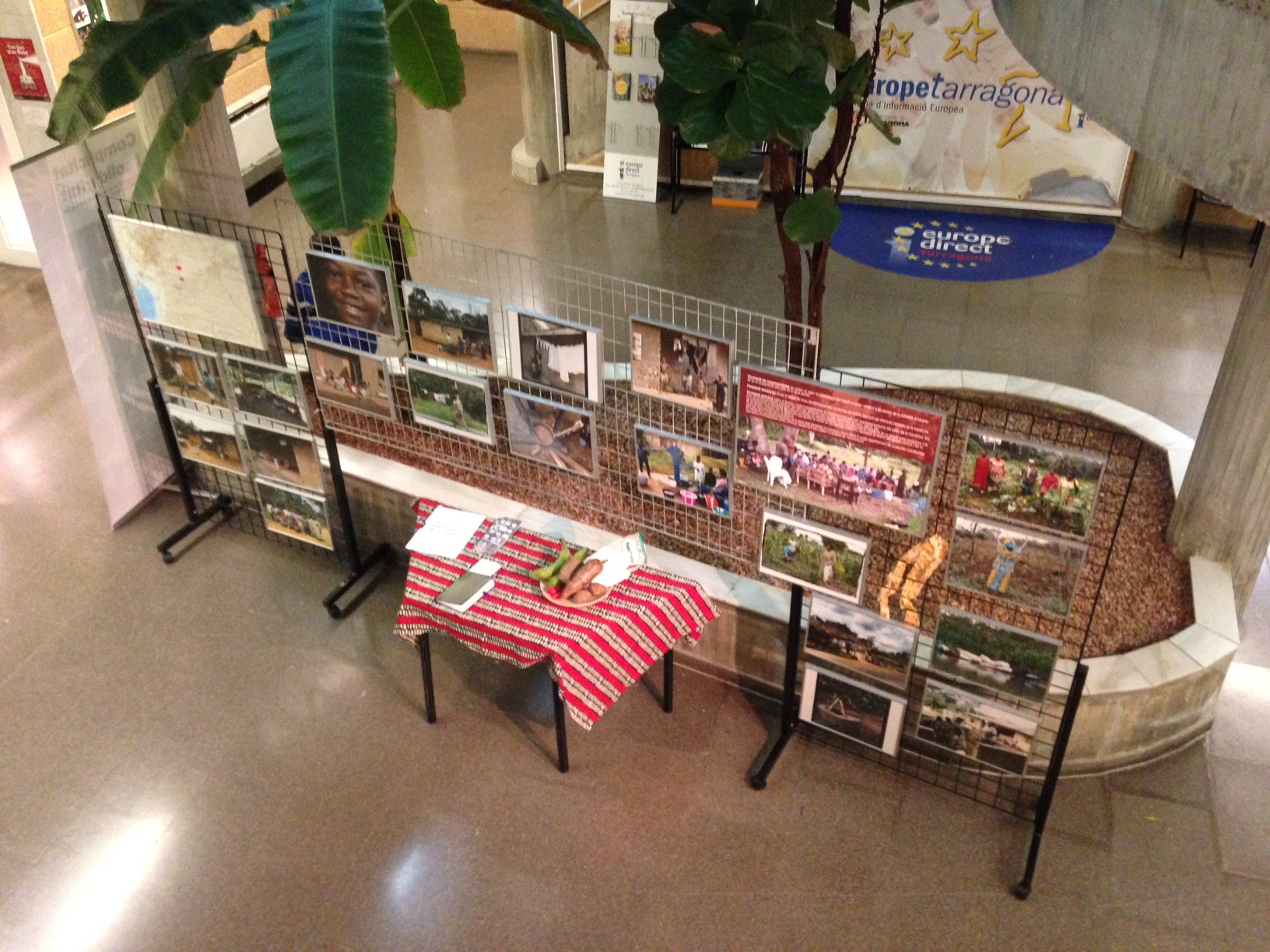 agermanament - camerun