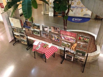 agermanament - camerun