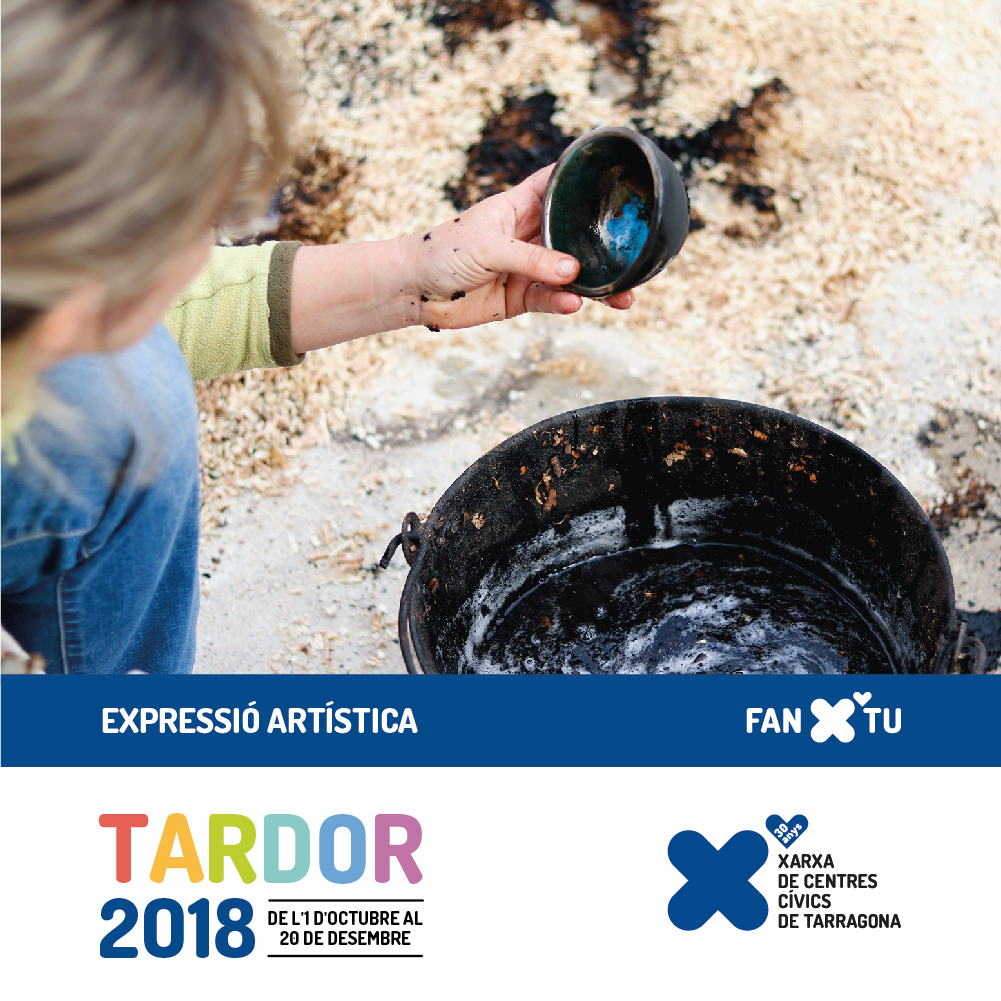 cctardor digitals inst expressioartistica