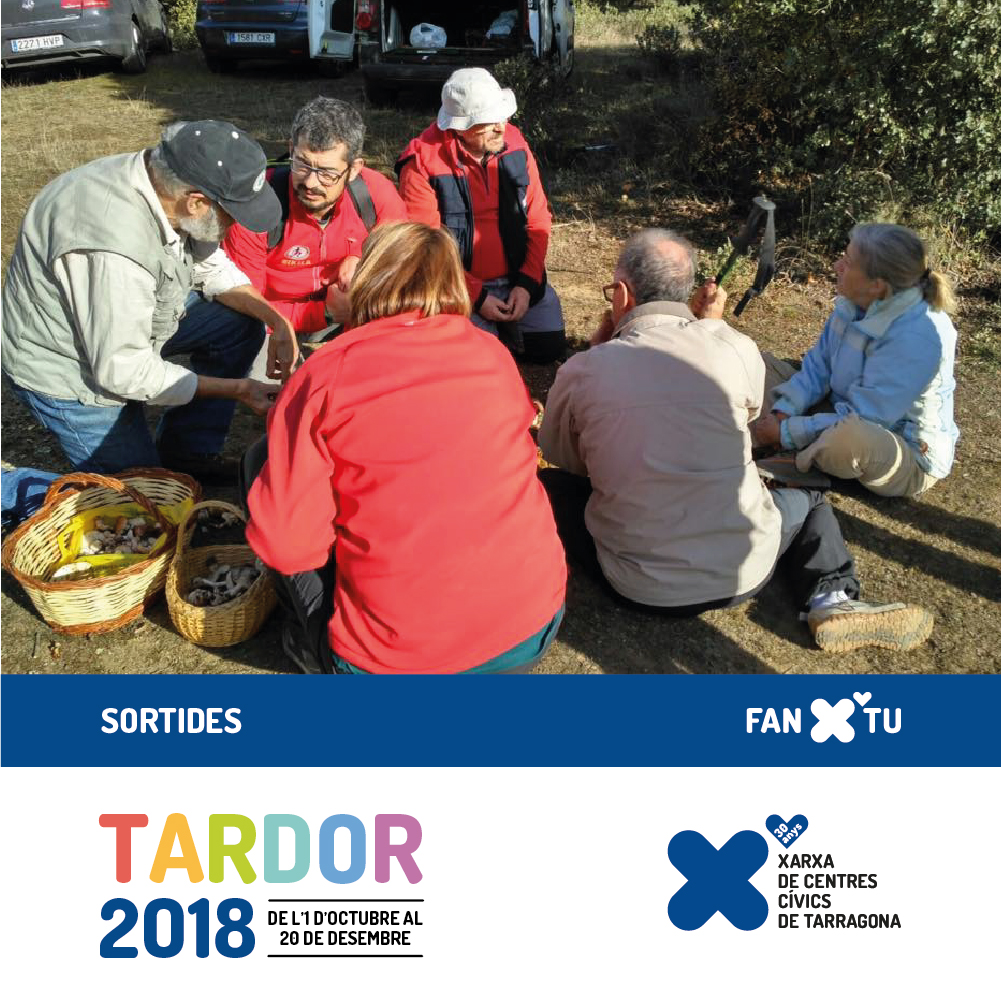 cctardor digitals inst sortides