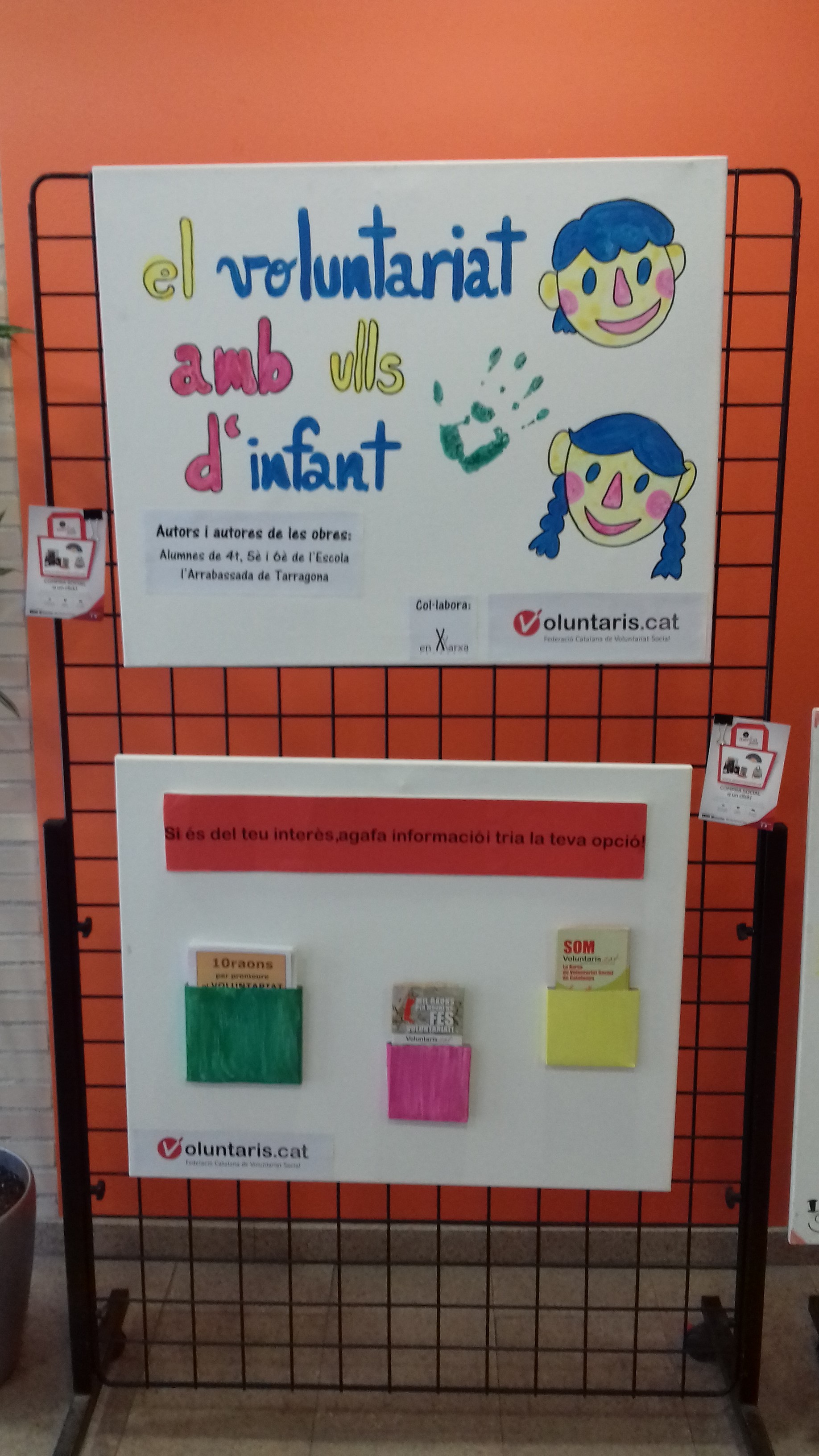 EL VOLUNTARIAT AMB ULLS D'INFANT