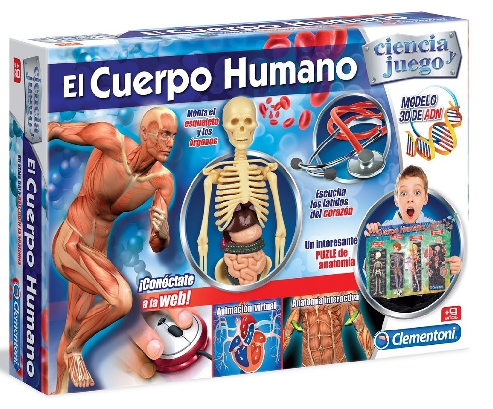SER2, El cuerpo humano