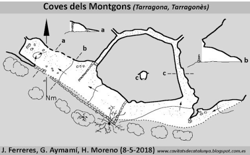 PARADA 2  ELS MONGONS