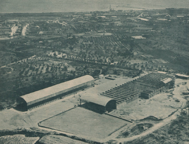 PARADA 4  FÀBRICA ALENA (FONT  ARXIU  HEMEROTECA MUNICIPAL)