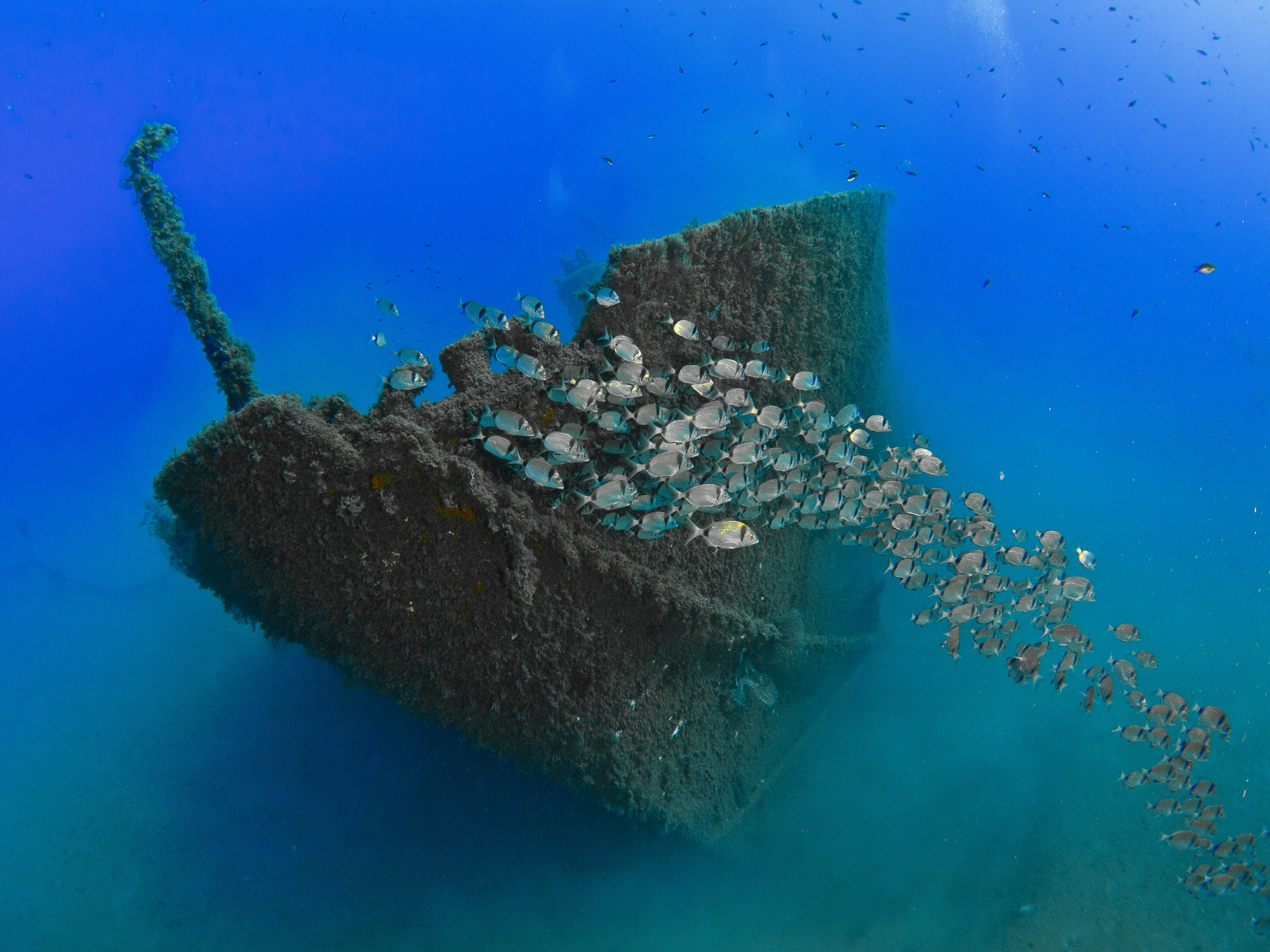 Societat d'exploracions submarines