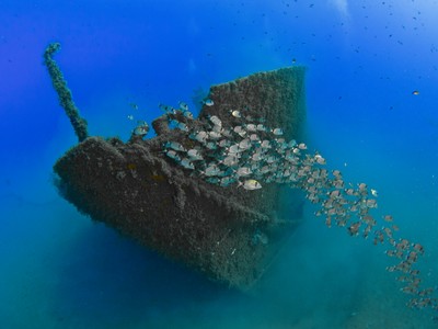 Societat d'exploracions submarines