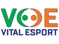 Vital esport