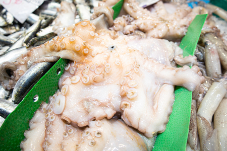 Pop roquer DAVID OLIETE