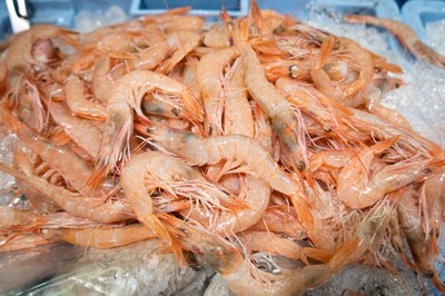 gamba rosada