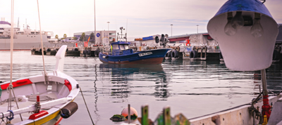 El peix de Tarragona en xifres