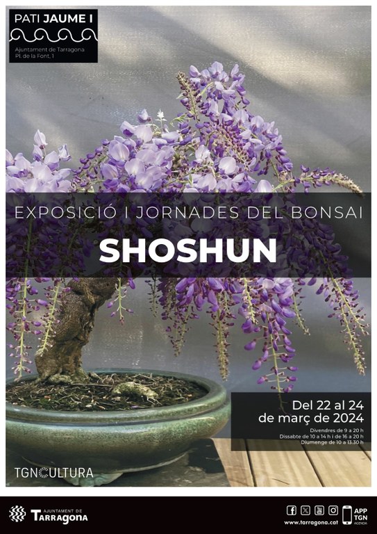 Shoshun. Exposició de bonsais