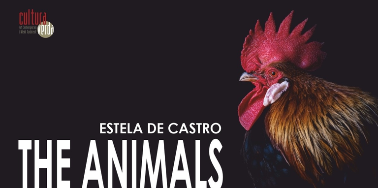 Estela de Castro presenta The Animals a Mèdol