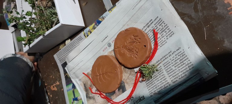 "Formes i Textures Vegeals" de Limonium Educació Ambiental