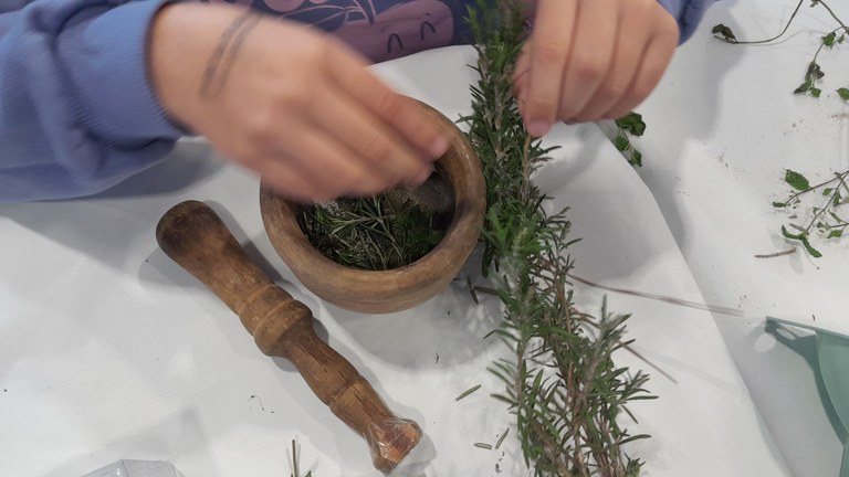 "Sal Aromàtica" de Limonium Educació Ambiental