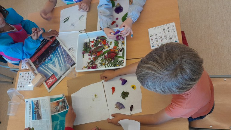 Tints naturals amb Limonium Educació Ambiental