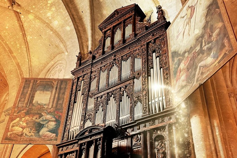 Concerts d'orgue de Nadal