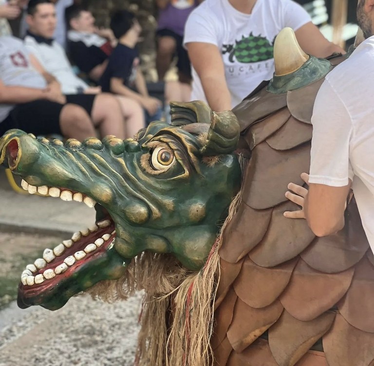 Cucafereta i Gegants del Barri del Port