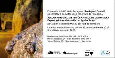 Allognathus: El Misteriós Cargol de la Muralla