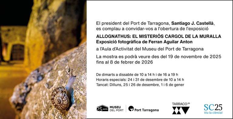 Allognathus: El Misteriós Cargol de la Muralla