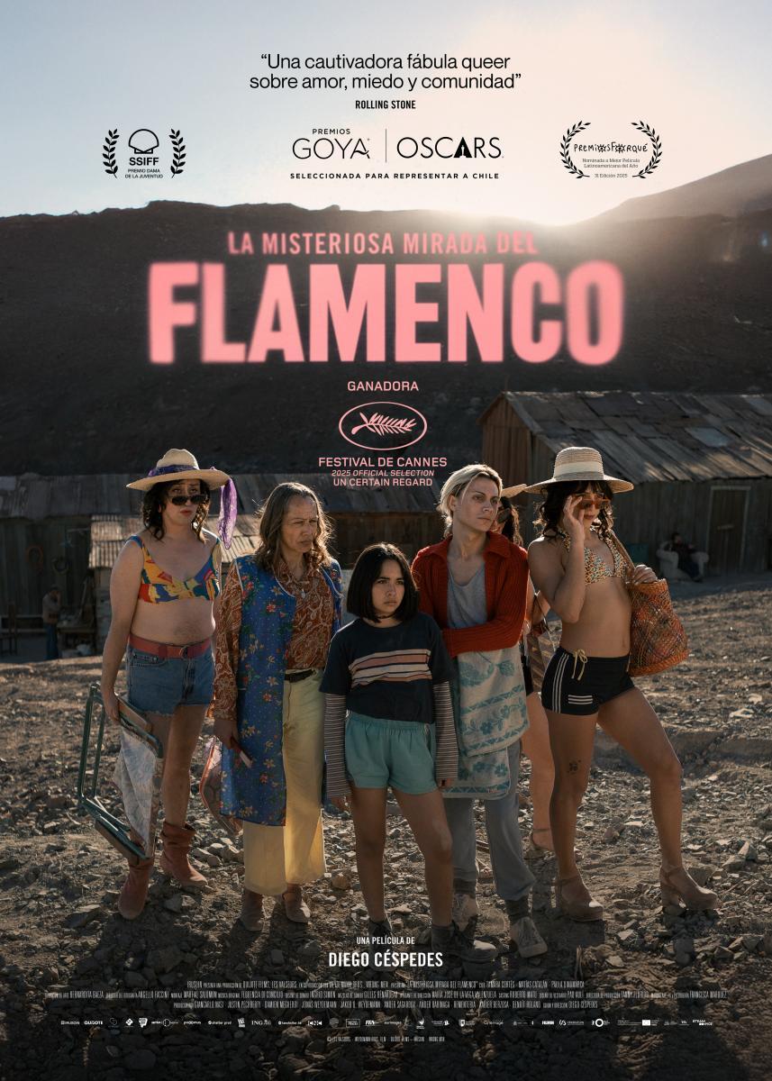Cinema Lliure a la Platja | "La misteriosa mirada del flamenco"