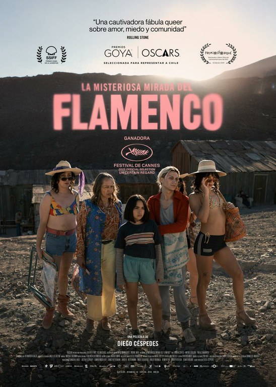 Cinema Lliure a la Platja | "La misteriosa mirada del flamenco"