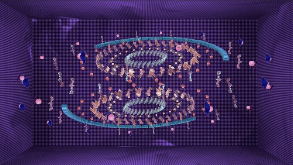 Exposició "Machine Cinema 2"