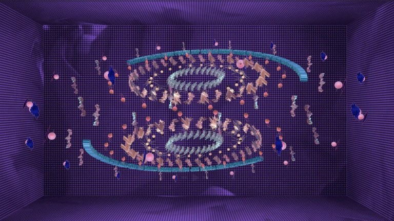 Exposició "Machine Cinema 2"