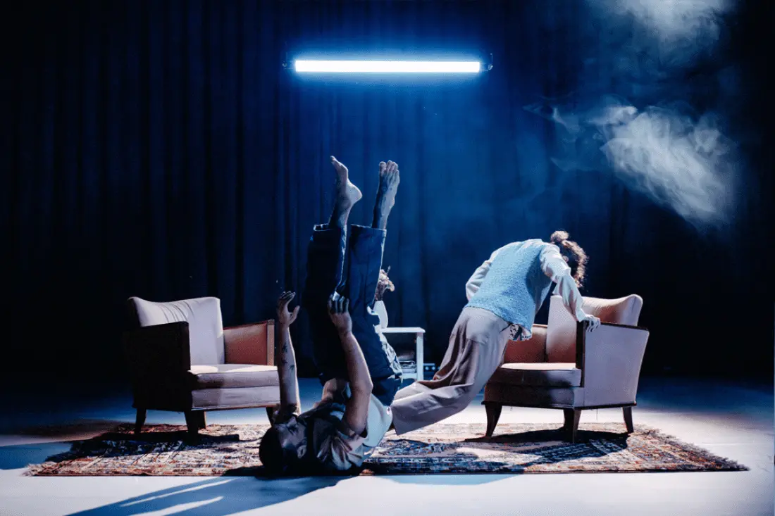 "BirdsLAND", de la companyia Nadine Gerspacher