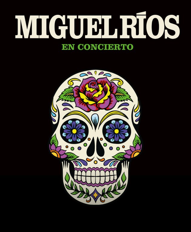Miguel Ríos en concert