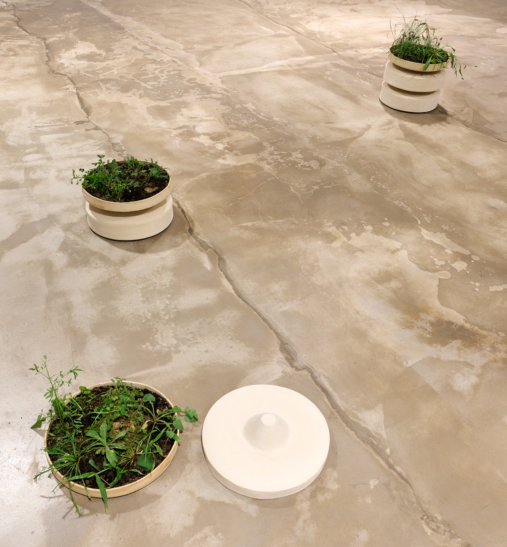 Inauguració de l'exposició "No vagis a buscar els infants a l’escola, encara", de Mariona Moncunill