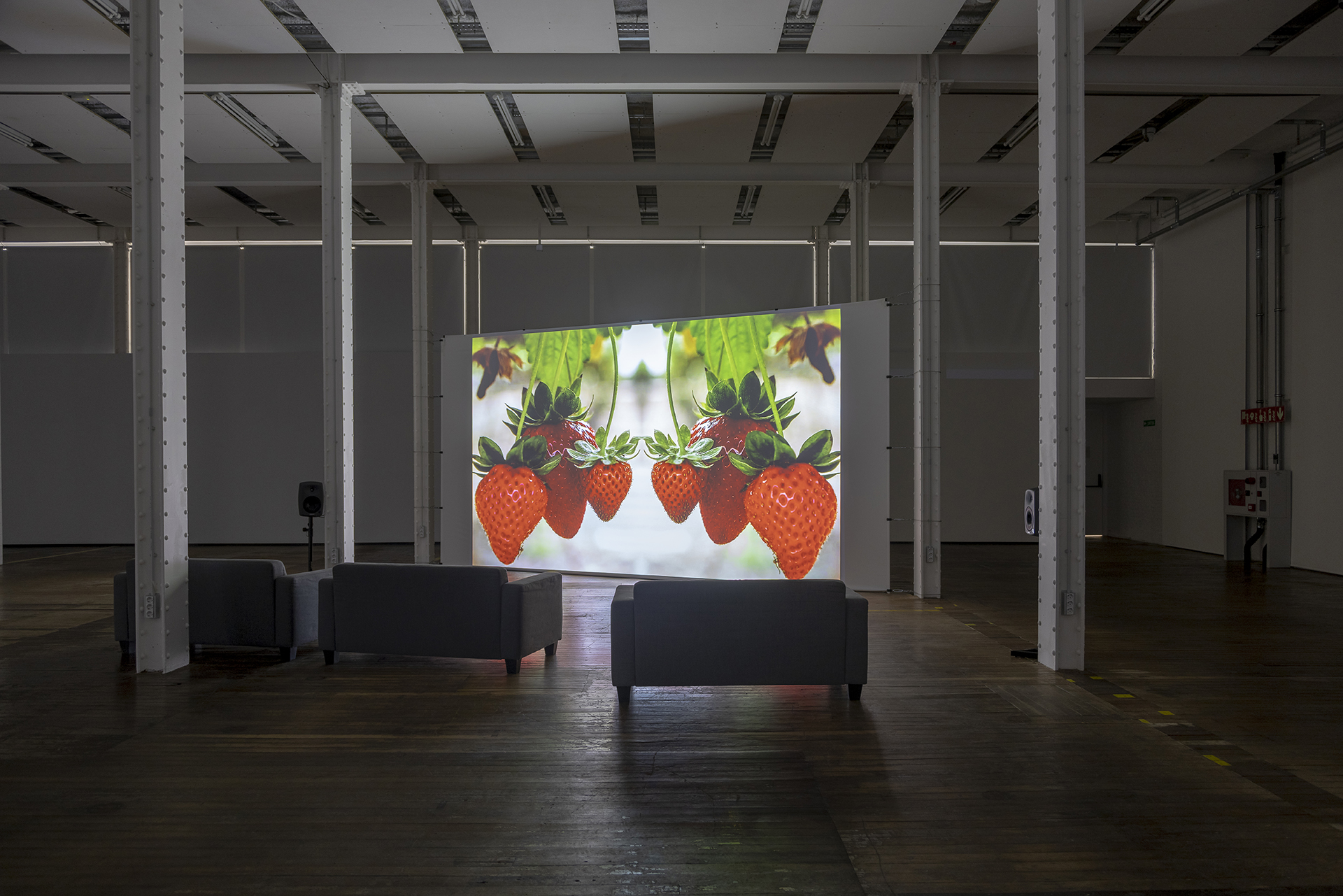 Projecció + conversa | "Strawberry Fields", de Julia Montilla