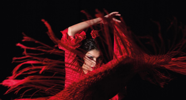 Sona Flamenc | 10è aniversari de La Herrería