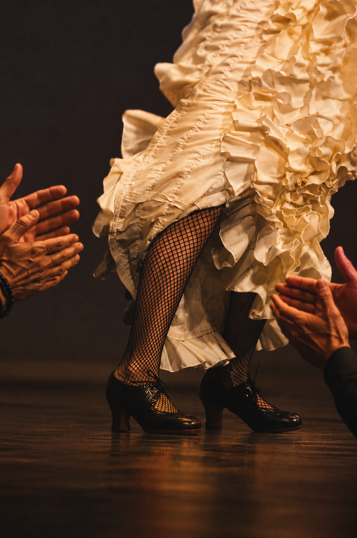 Sona Flamenc | 15è aniversari de l'escola Art i Flamenc