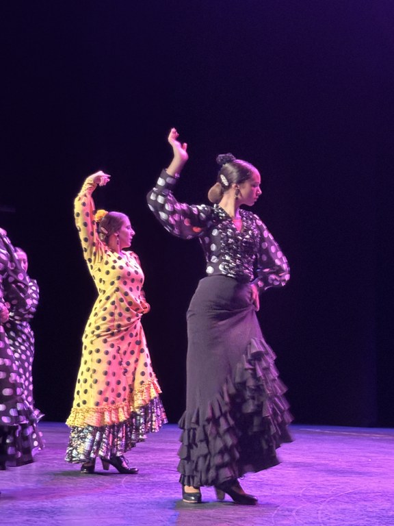 Sona Flamenc | Classes obertes de sevillanes