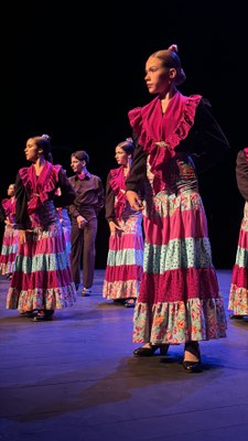 Sona Flamenc | Trobada d'entitats i escoles flamenques de la ciutat