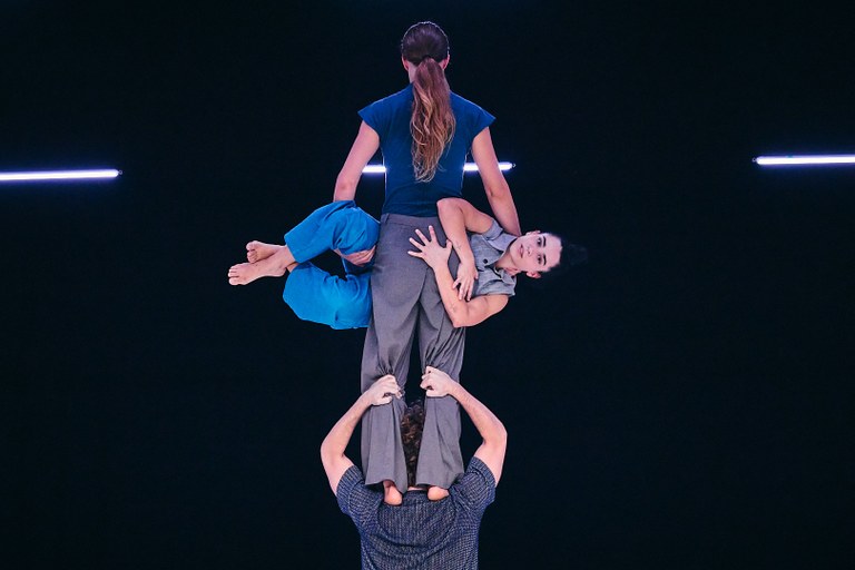 "Faula", de Roser López Espinosa