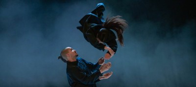 Festival Especial Dansa 2025