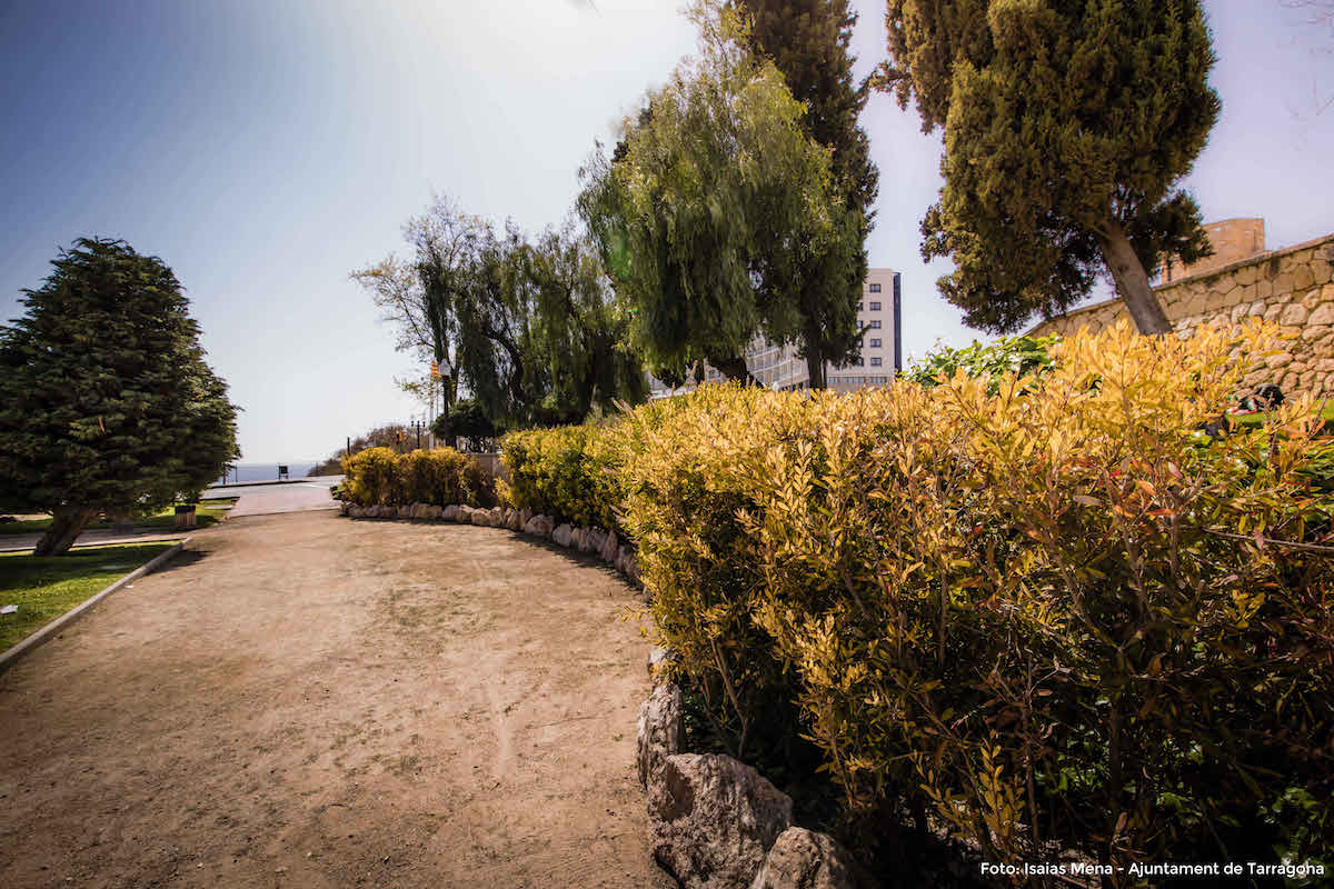 Dixie & jam: Backing Track Band (Regne Unit / Argentina / Tarragona)