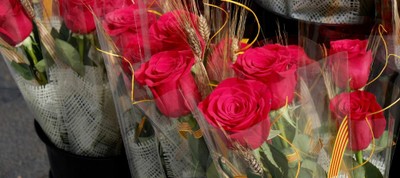 Sant Jordi