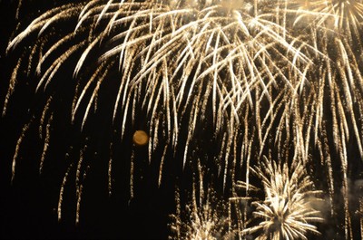 Focs 2016 Rosa Casas 1