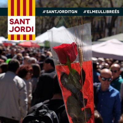 Sant Jordi 2017