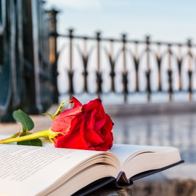 Sant Jordi 2015 - Pere Pulido-min.jpg