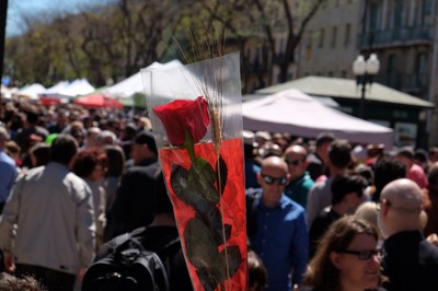 Sant Jordi 2017 Foto - Laia Marín