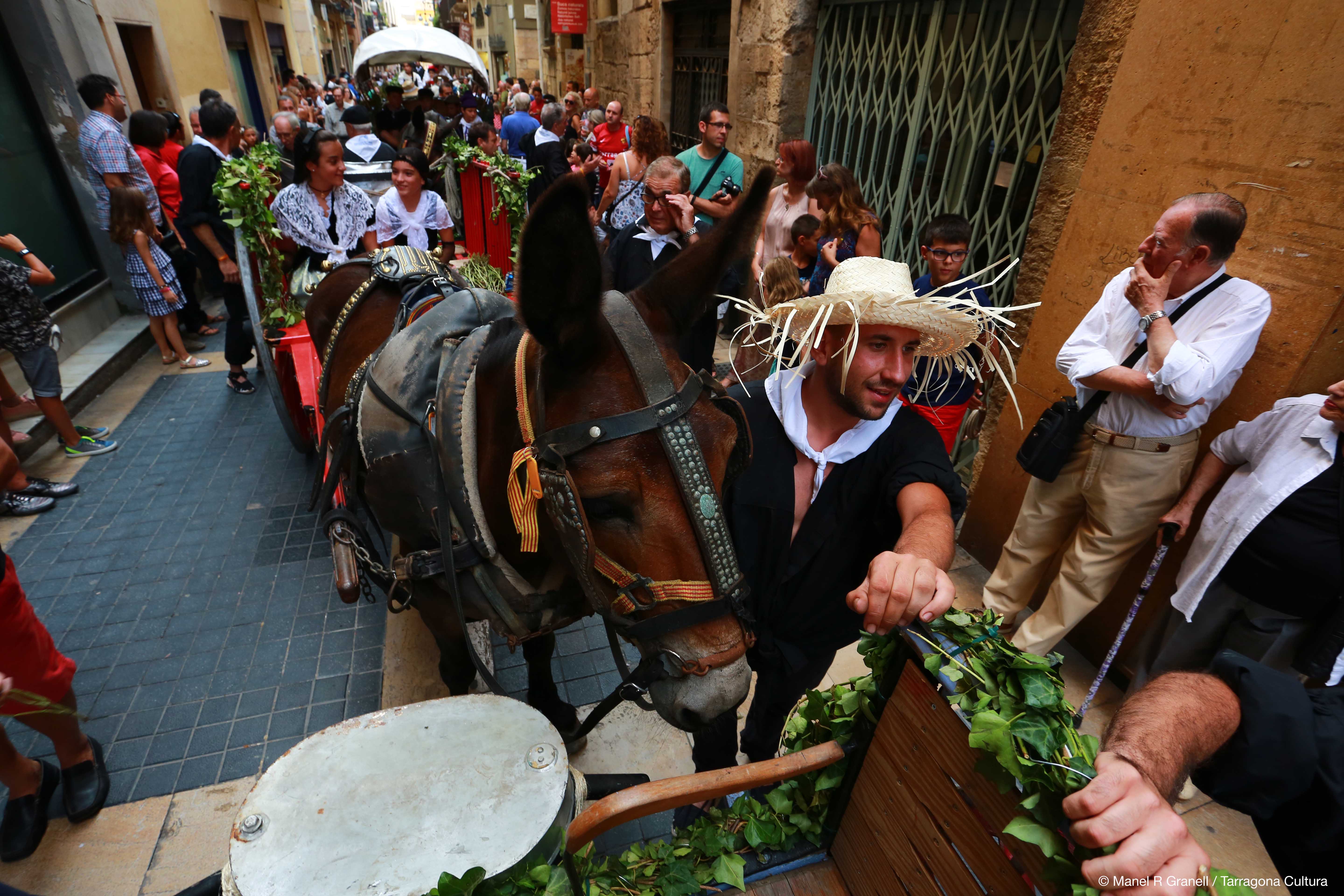 Sant Magí